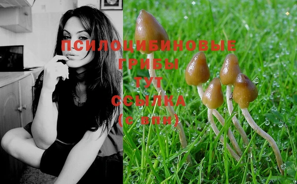 PSILOCYBIN Алексин