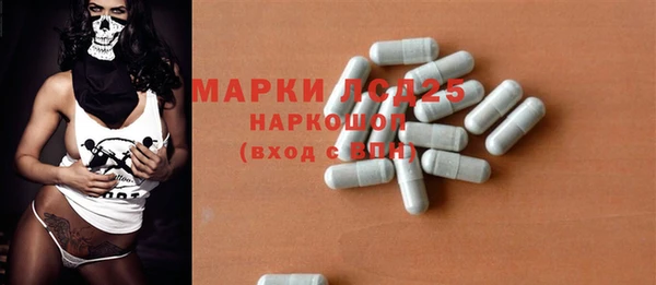 гидра Новозыбков