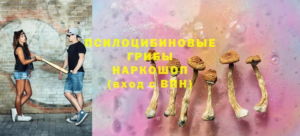 PSILOCYBIN Алексин