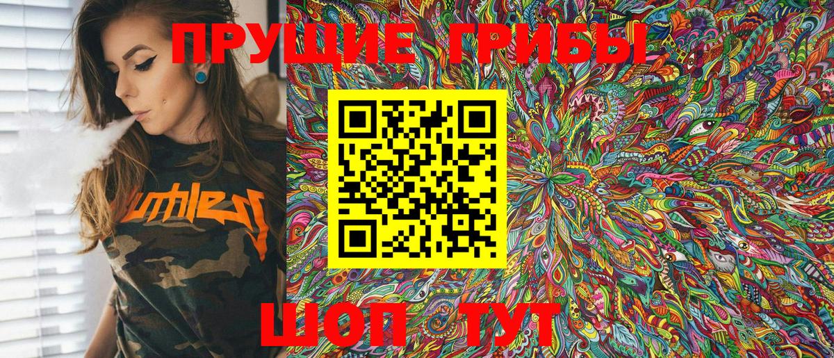 Псилоцибиновые грибы Psilocybe  Вход с VPN  Чусовой 